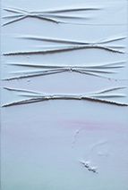 peinture artistique joud graph